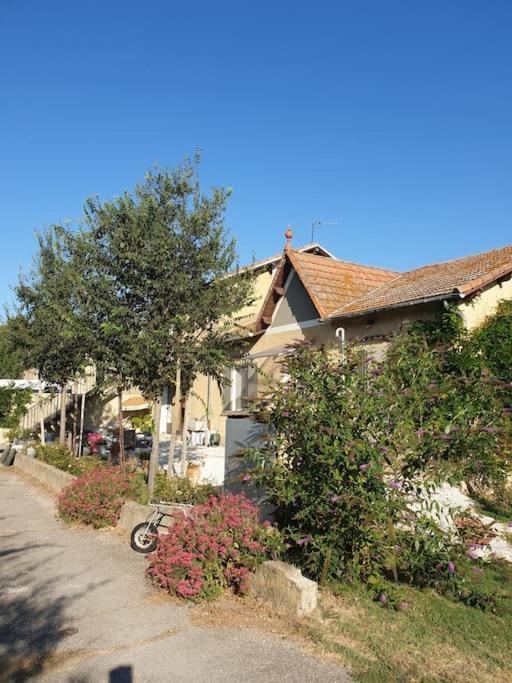 St Remy De Provence, La Maison Du Berger Saint-Andiol Eksteriør bilde