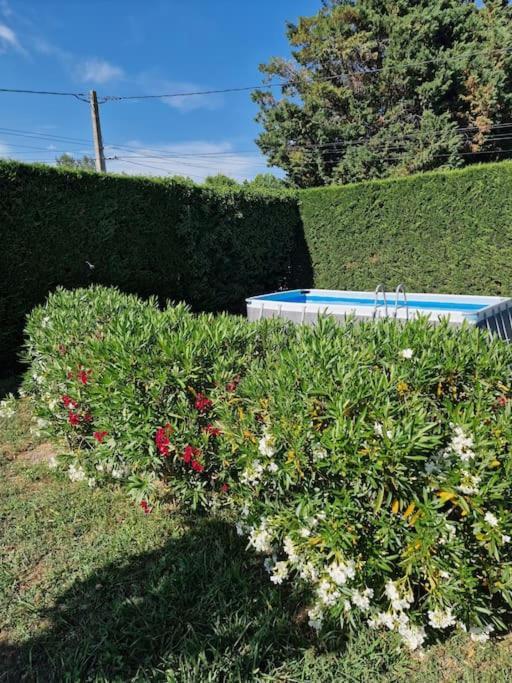 St Remy De Provence, La Maison Du Berger Saint-Andiol Eksteriør bilde