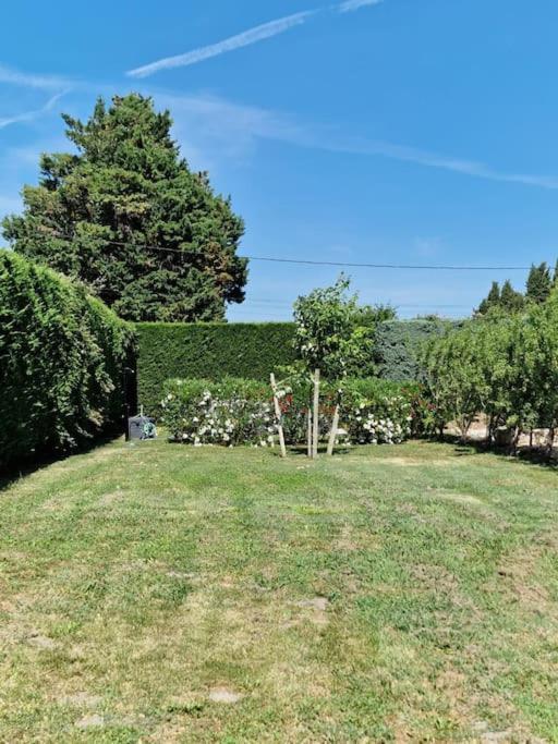 St Remy De Provence, La Maison Du Berger Saint-Andiol Eksteriør bilde