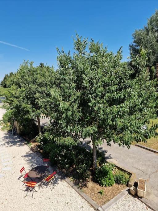 St Remy De Provence, La Maison Du Berger Saint-Andiol Eksteriør bilde